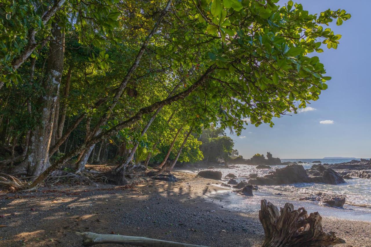 Punta Marenco Lodge Драке Экстерьер фото